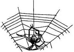 Иллюстрация к книге — Паутинка Шарлотты [i_018.jpg]