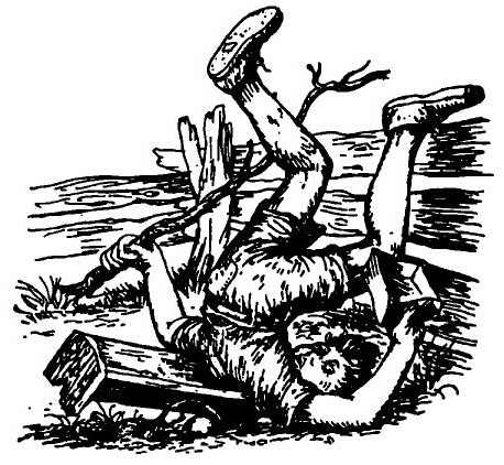 Иллюстрация к книге — Паутинка Шарлотты [i_020.jpg]