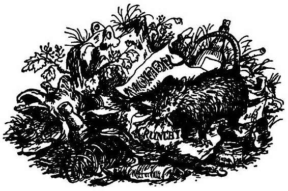 Иллюстрация к книге — Паутинка Шарлотты [i_026.jpg]