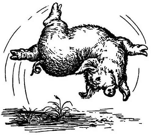 Иллюстрация к книге — Паутинка Шарлотты [i_027.jpg]