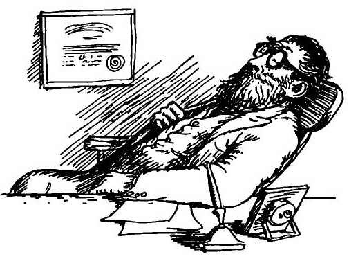 Иллюстрация к книге — Паутинка Шарлотты [i_029.jpg]