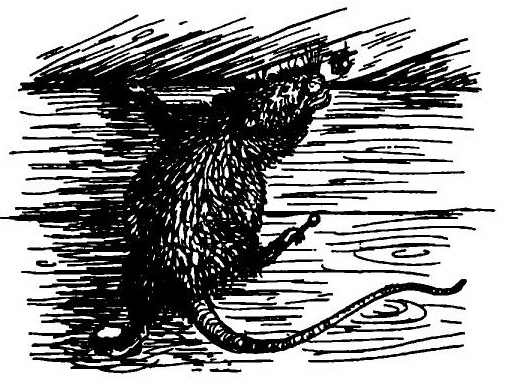 Иллюстрация к книге — Паутинка Шарлотты [i_041.jpg]