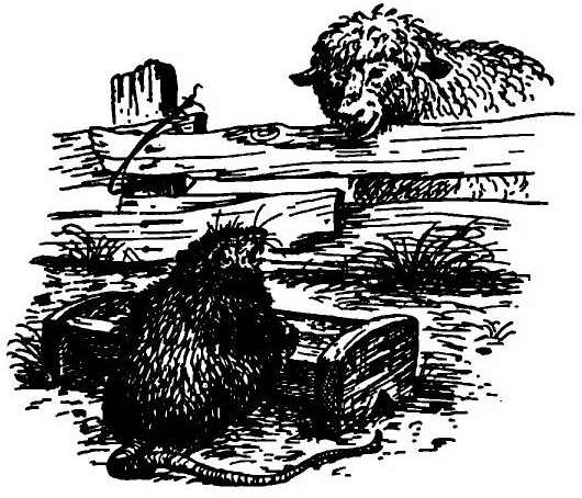 Иллюстрация к книге — Паутинка Шарлотты [i_042.jpg]