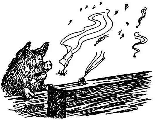 Иллюстрация к книге — Паутинка Шарлотты [i_043.jpg]