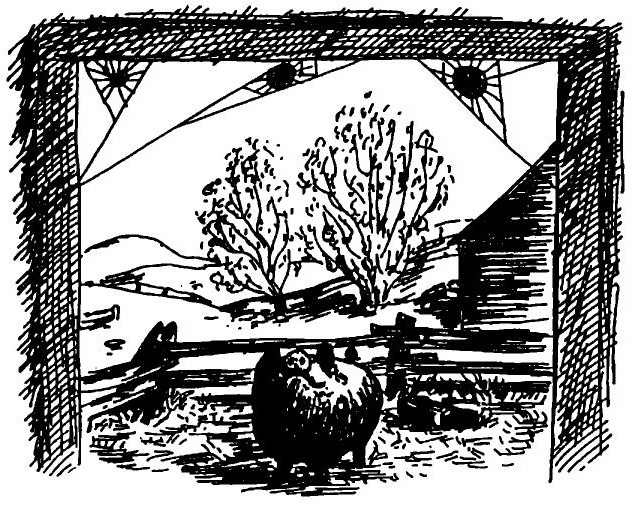 Иллюстрация к книге — Паутинка Шарлотты [i_044.jpg]