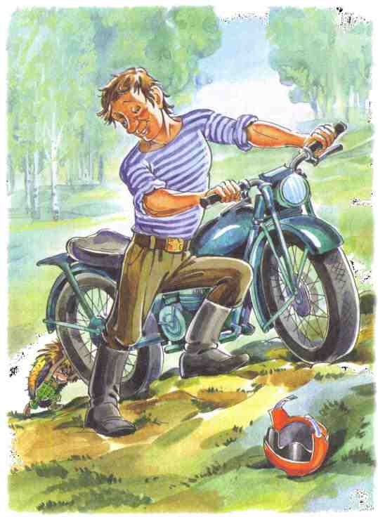 Иллюстрация к книге — Жили-были ежики [i_010.jpg]