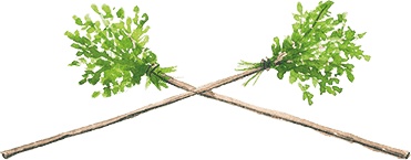 Иллюстрация к книге — Учитель вранья [i_028.jpg]