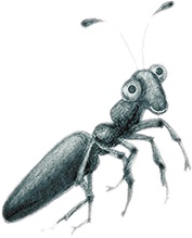 Иллюстрация к книге — Учитель вранья [i_031.jpg]