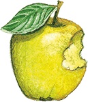 Иллюстрация к книге — Учитель вранья [i_044.jpg]