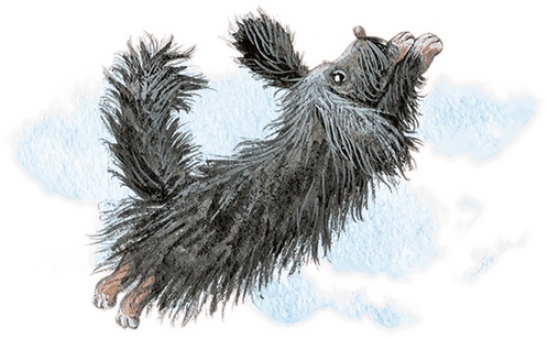 Иллюстрация к книге — Учитель вранья [i_067.jpg]