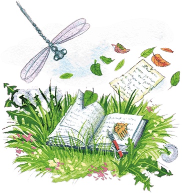 Иллюстрация к книге — Учитель вранья [i_084.jpg]