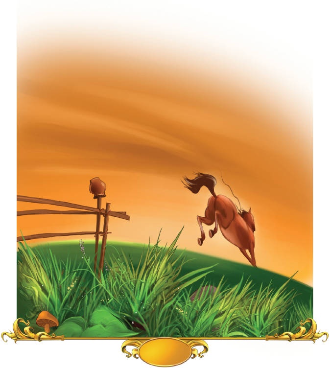 Иллюстрация к книге — Тайна заколдованного леса [i_028.jpg]