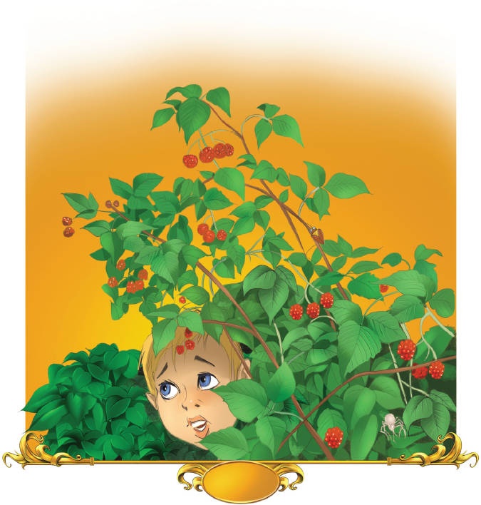 Иллюстрация к книге — Тайна заколдованного леса [i_033.jpg]