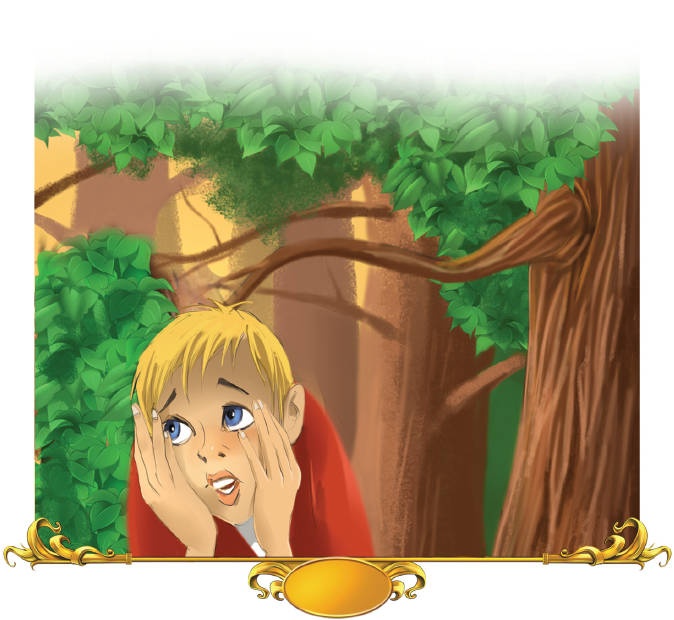 Иллюстрация к книге — Тайна заколдованного леса [i_040.jpg]