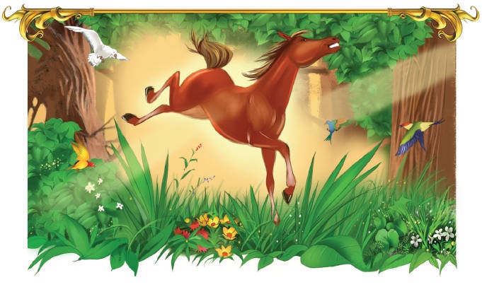 Иллюстрация к книге — Тайна заколдованного леса [i_049.jpg]