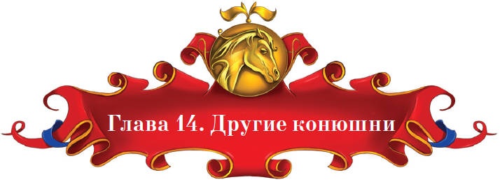 Иллюстрация к книге — Тайна заколдованного леса [i_060.jpg]