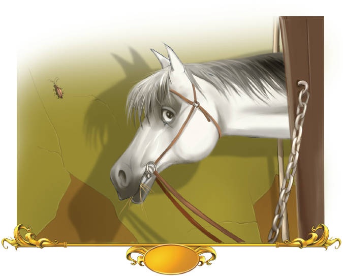 Иллюстрация к книге — Тайна заколдованного леса [i_061.jpg]