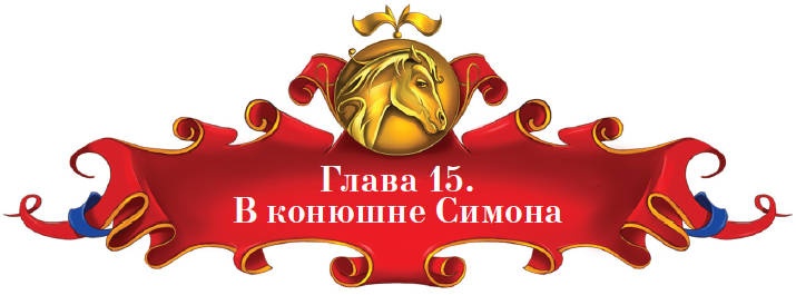 Иллюстрация к книге — Тайна заколдованного леса [i_065.jpg]