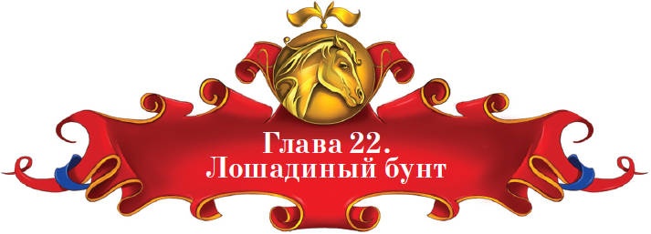 Иллюстрация к книге — Тайна заколдованного леса [i_086.jpg]