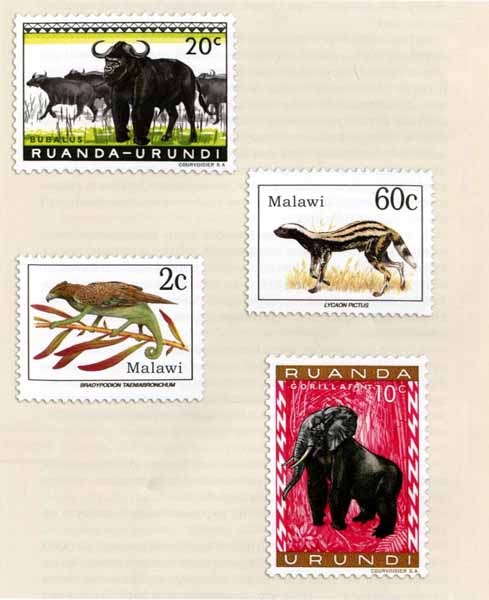 Иллюстрация к книге — Как стать настоящим львом [img26.jpg]