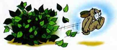 Иллюстрация к книге — Попался волчок на крючок [i_020.jpg]