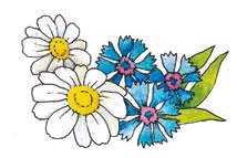 Иллюстрация к книге — Разноцветные приключения Кузи [_003.jpg]