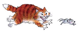 Иллюстрация к книге — Разноцветные приключения Кузи [_007.jpg]