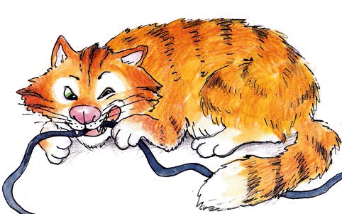 Иллюстрация к книге — Разноцветные приключения Кузи [_049.jpg]