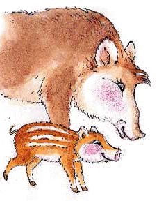 Иллюстрация к книге — Разноцветные приключения Кузи [_058.jpg]