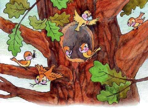 Иллюстрация к книге — Разноцветные приключения Кузи [_069.jpg]