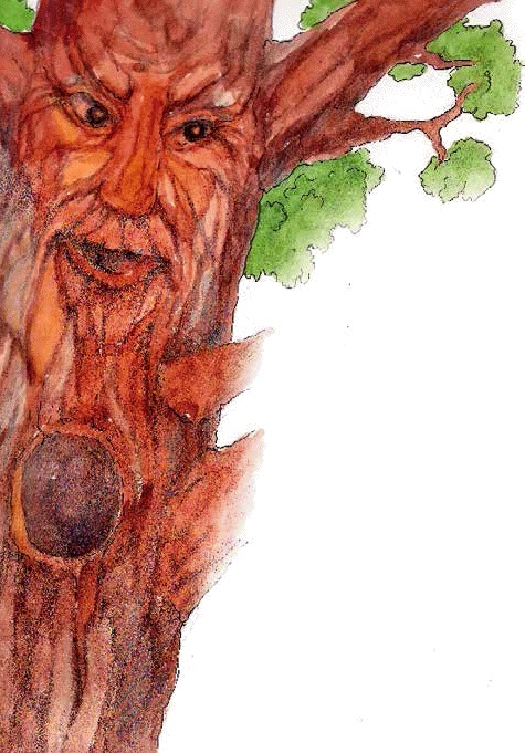 Иллюстрация к книге — Разноцветные приключения Кузи [_070.jpg]