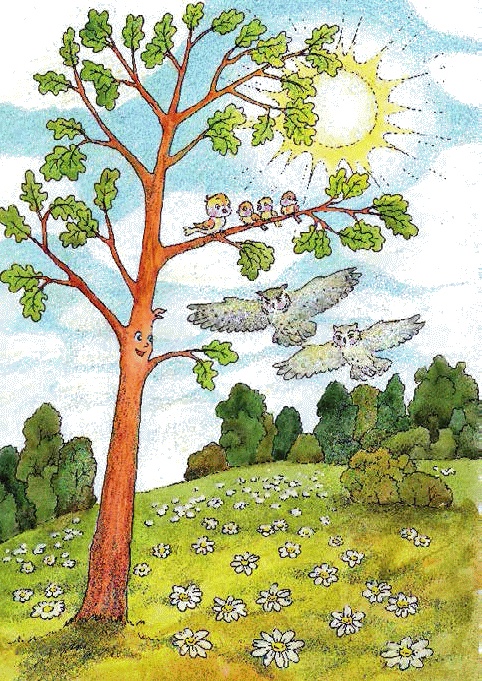 Иллюстрация к книге — Разноцветные приключения Кузи [_080.jpg]