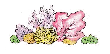 Иллюстрация к книге — Разноцветные приключения Кузи [_107.jpg]