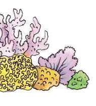 Иллюстрация к книге — Разноцветные приключения Кузи [_118.jpg]