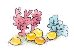 Иллюстрация к книге — Разноцветные приключения Кузи [_131.jpg]