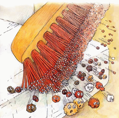 Иллюстрация к книге — Разноцветные приключения Кузи [_177.jpg]