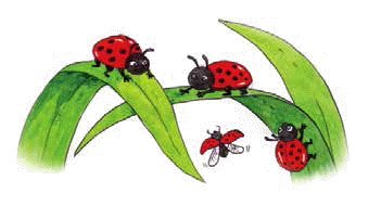 Иллюстрация к книге — Разноцветные приключения Кузи [_211.jpg]