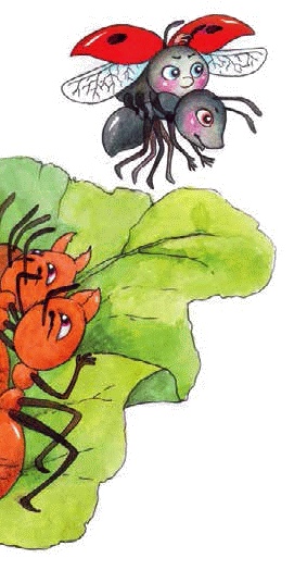 Иллюстрация к книге — Разноцветные приключения Кузи [_220.jpg]