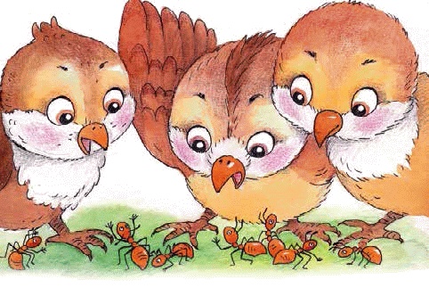 Иллюстрация к книге — Разноцветные приключения Кузи [_228.jpg]