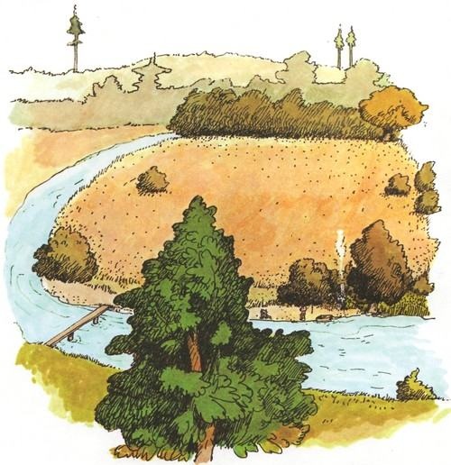 Иллюстрация к книге — О, как ты прекрасна, Панама! [i_002.jpg]