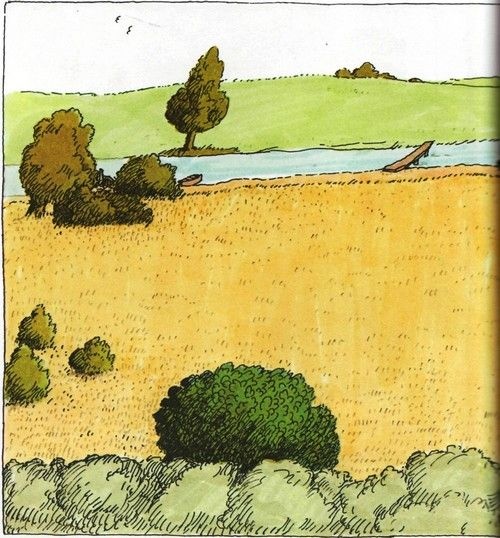 Иллюстрация к книге — О, как ты прекрасна, Панама! [i_026.jpg]