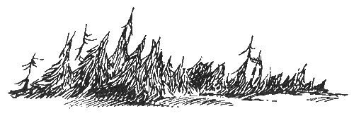 Иллюстрация к книге — Папа и море [i_021.jpg]