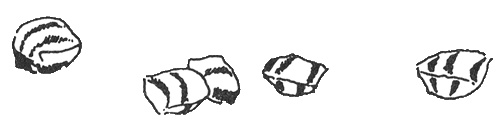 Иллюстрация к книге — Папа и море [i_060.jpg]