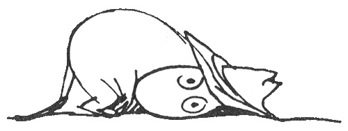 Иллюстрация к книге — Папа и море [i_063.jpg]