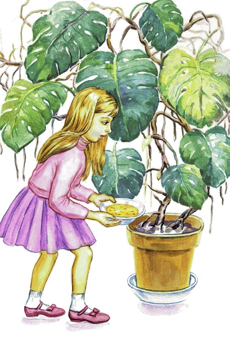 Иллюстрация к книге — Сказки комнатных растений [i_001.jpg]