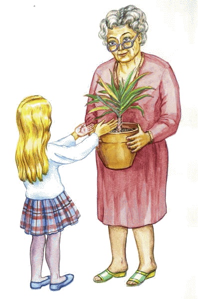 Иллюстрация к книге — Сказки комнатных растений [i_005.jpg]