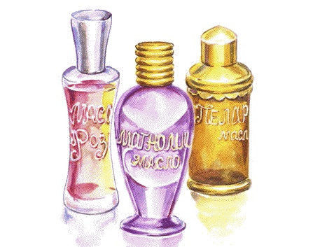 Иллюстрация к книге — Сказки комнатных растений [i_011.jpg]