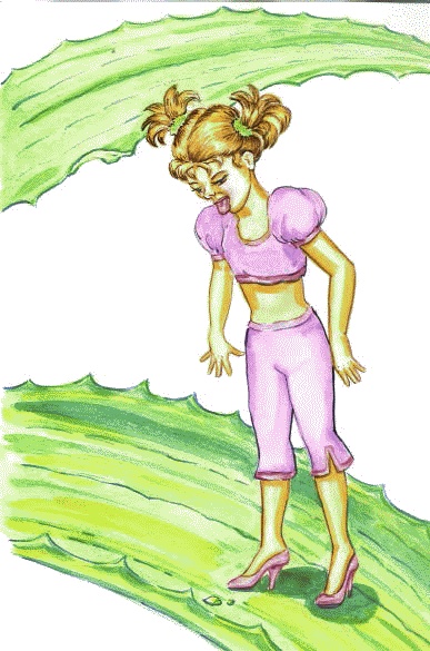 Иллюстрация к книге — Сказки комнатных растений [i_017.jpg]