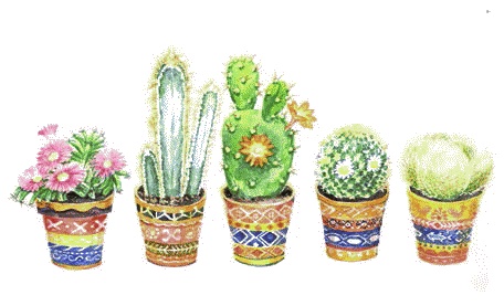 Иллюстрация к книге — Сказки комнатных растений [i_042.jpg]