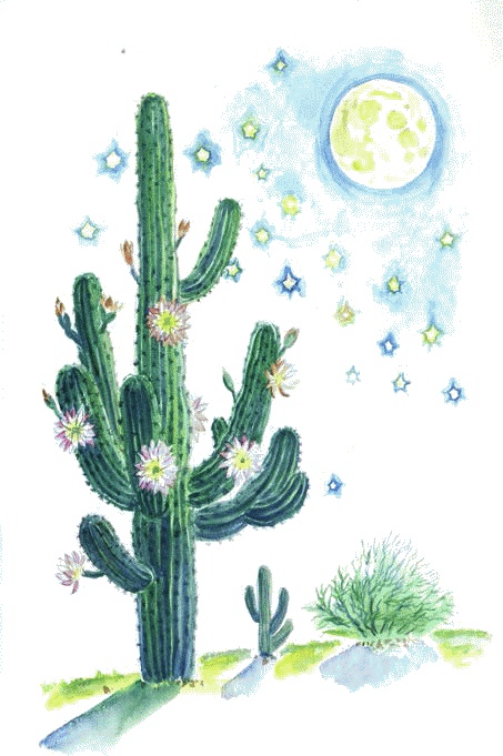 Иллюстрация к книге — Сказки комнатных растений [i_043.jpg]